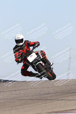 media/Oct-06-2025-2WTD (Mon) [[90522c3a0b]]/B Group/1120am (Grapevine)/